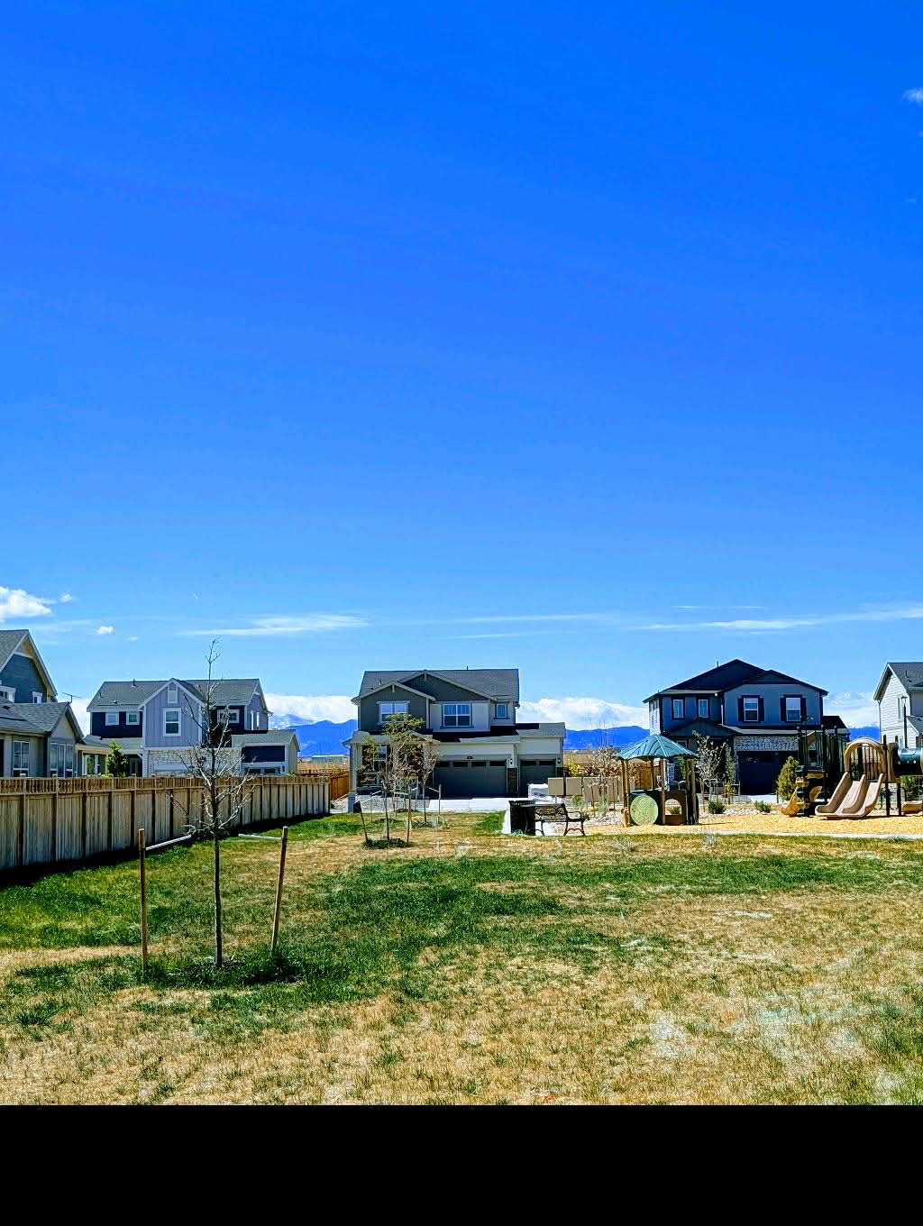 The neighborhood park at Ledge Rock — green common, playground, and the Front Range on the horizon under a blue Colorado sky